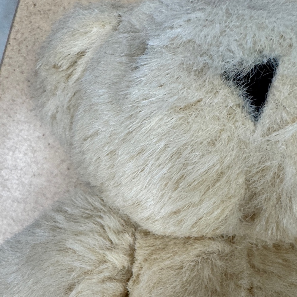 The Vermont Teddy Bear Company (vintage?) Cream Teddy Bear Plush - Picture 5 of 6